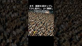 花火大会の観客席 違和感探し 違和感 違いを見つける 違い 違う [upl. by Anetsirk]