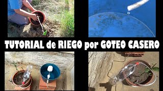 Tutorial de Riego por GOTEO CASERO  creación pruebas aplicación y resultados [upl. by Divadleahcim215]