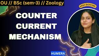 Counter Current Mechanism  BSc Zoology lecture  Sem 3 Osmania University  Humera [upl. by Anikas733]