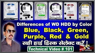 what is Difference Between WD HDD Blue Black Green Purple Red amp Gold 101 [upl. by Pardo]