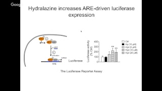 “Potential application of hydralazine a FDA approved antihypertensive drug for antiaging therapy” [upl. by Krissie492]