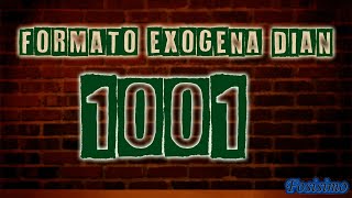 Como diligenciar formato 1001 información exógena DIAN TUTORIAL [upl. by Ainnek]