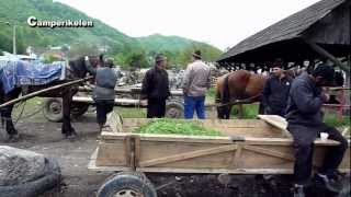 Levende markt Roemenië [upl. by Demah]