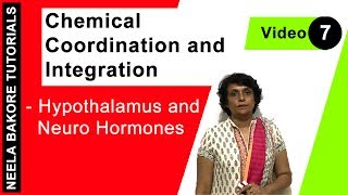 Chemical Coordination and Integration  NEET  Hypothalamus amp Neuro Hormones  Neela Bakore Tutorial [upl. by Simonsen]