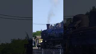 Chuffery at the Essex steam train museum 🚂 [upl. by Aible]