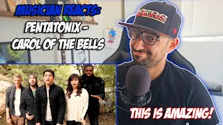 Musician Reacts to Pentatonix  Carol of the Bells  RAW AND UNCUT reaction ptx [upl. by Frederich]