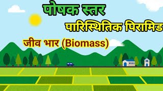 पोषक स्तर  Poshak star Trophic levels पारिस्थितिक पिरामिड Ecological Pyramids जीव भारBiomass [upl. by Tega]