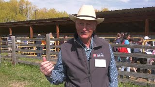 Gallatin Valley Farm Fair teaches kids about ranching [upl. by Mays]