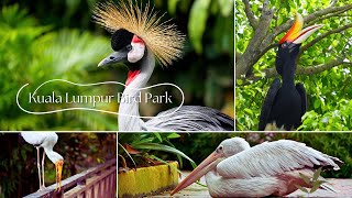 Cinematic Tour of 🇲🇾 KL Bird Park  2024  4K  With Bird Names [upl. by Noside]