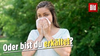 Allergie So erkennst du Heuschnupfen [upl. by Alejo]