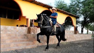 Aprendiendo a Bailar un Caballo  Se puso intenso [upl. by Beaulieu760]