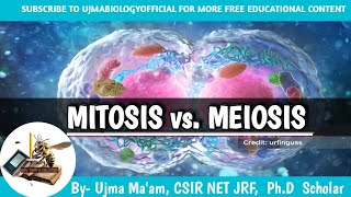 MITOSIS vs Meiosis  what is mitosis and meiosis  difference between Meiosis and mitosis [upl. by Annaitsirk242]