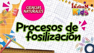 Procesos de fosilización  IkniuM Kids [upl. by Nomelihp]