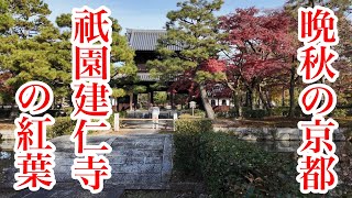 2024年12月13日（金） 晩秋の京都 もみ🍁じが真っ赤に染まる建仁寺を歩く Walking around Kenninji TempleKyoto 【4K】 [upl. by Atirihs238]