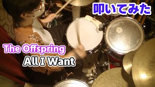 【The Offspring】 All I Want  叩いてみた theoffspring ドラム drums drumcover [upl. by Leese]