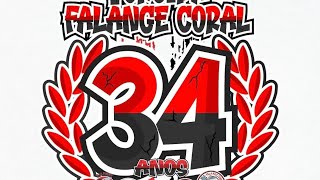 ESPECIAL FALANGE CORAL [upl. by Madelaine791]