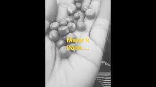 green matar  recipe [upl. by Bahr]