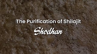 Pure Shilajit Shodhan Process [upl. by Georglana]