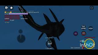 New cuviers beaked whale  Oceanic testing 2  Roblox [upl. by Liuqnoj552]