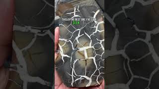 Premium lightning stone “septarian” cut open [upl. by Lynnell]