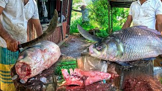 Harvesting Fish Eggs  Dont Miss This 30kg Catla Fish Cutting Skills Biggest Rural Fish Market [upl. by Yeltihw]