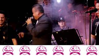 COMPAY GATO SALSA  JOSÉ LUIS VALDIVIA Y ORQUESTA EN VIVO [upl. by Wyler]