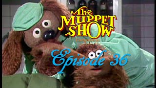 The Muppet Show Compilations  Episode 36 Veterinarians Hospital Season 2 [upl. by Undine]