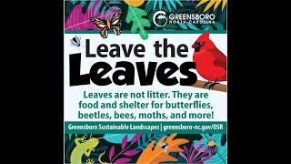 Greensboro Sustainable Landscapes Project Leave the Leaves [upl. by Duhl465]