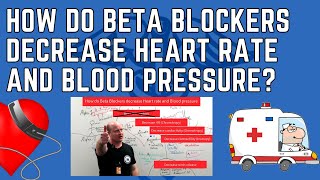 How do Beta Blockers Decrease Heart Rate and Blood Pressure [upl. by Jehu650]