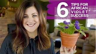 6 Tips for African Violet Success  Garden Answer [upl. by Nemrac196]