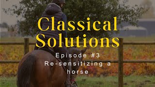 Resensitizing Your Horse  Ep 3  Classical Solutions  Dressage Training [upl. by Oruntha690]