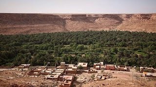 Worlds largest oasis threatened by climate change [upl. by Rekcut]