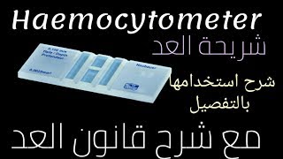 شريحة العد Haemocytometer وقانون العد  تعليم التحاليل الطبية للمبتدئين [upl. by Hoopen29]