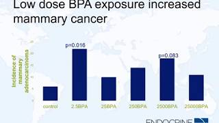 Is BPA Safe An Endocrine Society Virtual News Conference [upl. by Eillim]