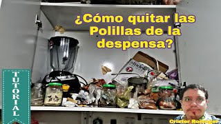 ¿Còmo quitar las polillas de la despensa de la cocina [upl. by Rashidi951]