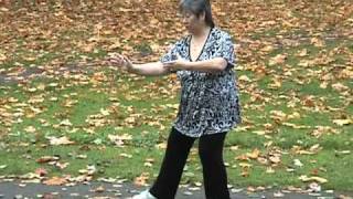 Yang Family tai chi long form third section [upl. by Cobbie]