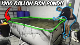 SETTING UP a 1200 GALLON PREDATOR FISH POND in my garage [upl. by Ahtinak]