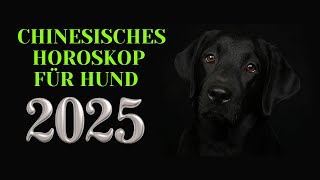 Hund  2025 Chinesisches Horoskop Das Jahr der grünen Schlange [upl. by Nairod]