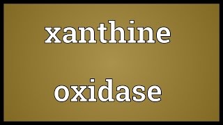 Xanthine oxidase Meaning [upl. by Nohsar]