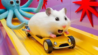 🐹 Hamster vs Pop It maze for pets 🐹 Escape in the Best Hamster Challenges 110 [upl. by Simetra]