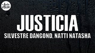 Silvestre Dangond NATTI NATASHA  Justicia Letra [upl. by Einnoj]