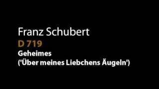 Schubert D 719 Geheimes Über meines Liebchens Äugelnwmv [upl. by Marin]