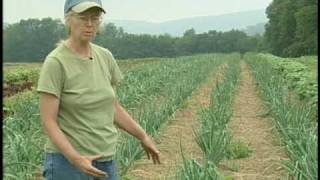 Sustainable Tillage  Beech Grove Farm Trout Run PA [upl. by Derfliw563]