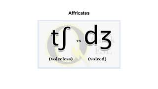 Ch 6 SupplementaryMaterial  Affricates and Fricatives [upl. by Phylis]