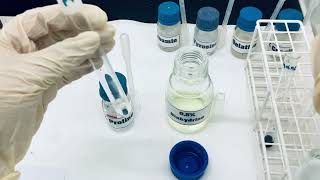 Experiment 10 Amino acids and proteins  Ninhydrin test [upl. by Ainna562]