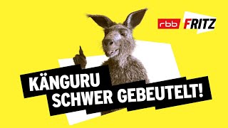 Ein Problem  Neues vom Känguru reloaded  MarcUwe Kling  KänguruChronikenStorys  BONUSFOLGE [upl. by Weinman]