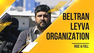 Cartel  Beltran Leyva Organization Rise amp Fall [upl. by Willin]