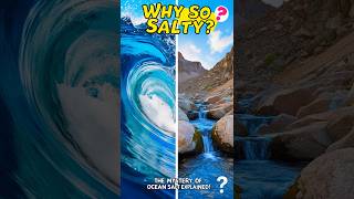 Ever Wondered Why Oceans Are Salty 🌊 Heres Why [upl. by Chow459]