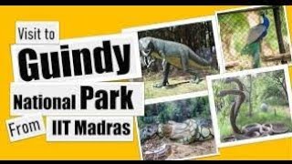 Guindy National Park  Visit To National Park Chennai  கிண்டி சிறுவர் பூங்கா  VIJAY amp SURUTHI [upl. by Deppy]