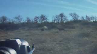 2013 12 22  chasse au grand gibier  biche faon [upl. by Aetnahc]